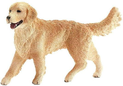GOLDEN RETRIEVER FEMMINA - babykid