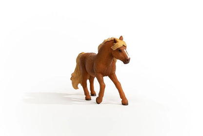 ICELAND PONY STALLION - babykid