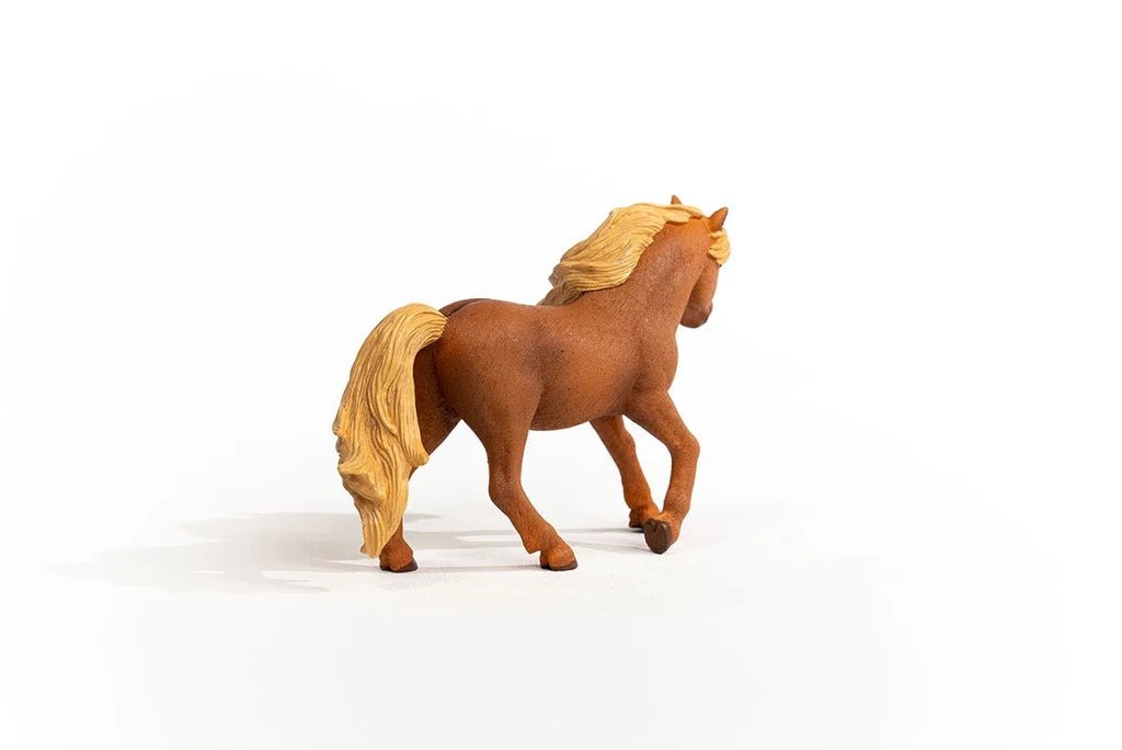 ICELAND PONY STALLION - babykid
