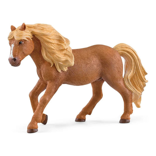 ICELAND PONY STALLION - babykid