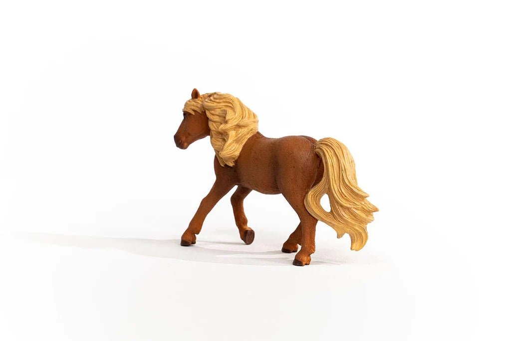 ICELAND PONY STALLION - babykid