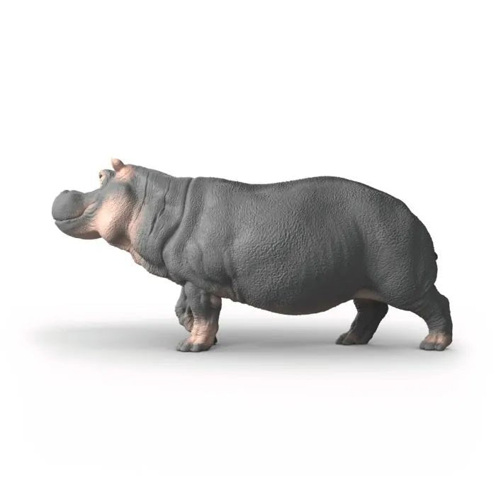 IPPOPOTAMO - babykid