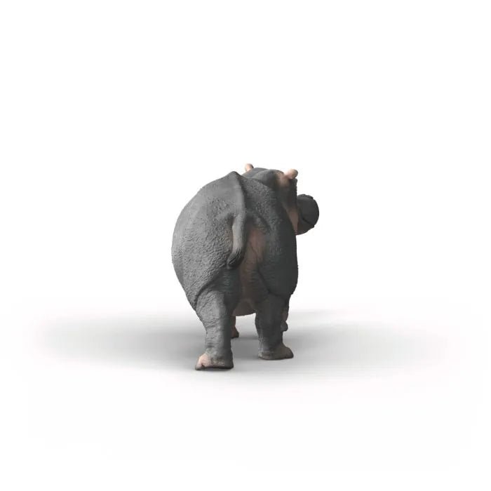IPPOPOTAMO - babykid