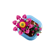 LEGO - BOTANICALS - CACTUS IN FIORE - 11509 - babykid