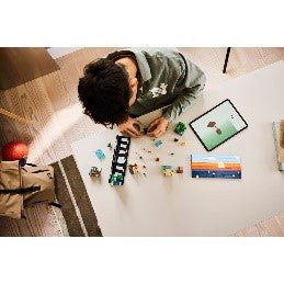 LEGO - MINECRAFT - MINI - BIOMI - 21589 - babykid