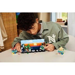 LEGO - MINECRAFT - MINI - BIOMI - 21589 - babykid