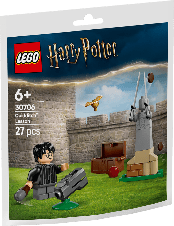 LEGO Quidditch Recruitment Bags - Lezione di Quidditch - 30706 - babykid