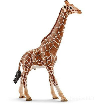 GIRAFFA MASCHIO - Babykid