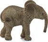 CUCCIOLO DI ELEFANTE AFRICANO (5)
