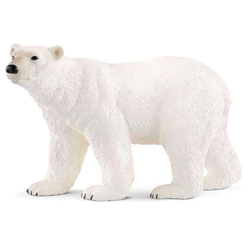 ORSO POLARE