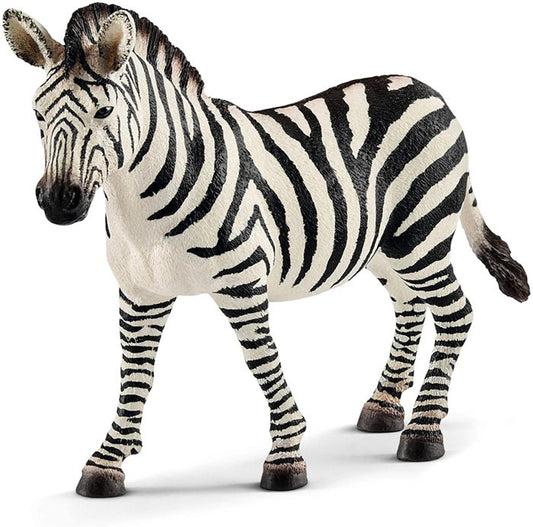 GIOVANE FEMMINA DI ZEBRA - Babykid