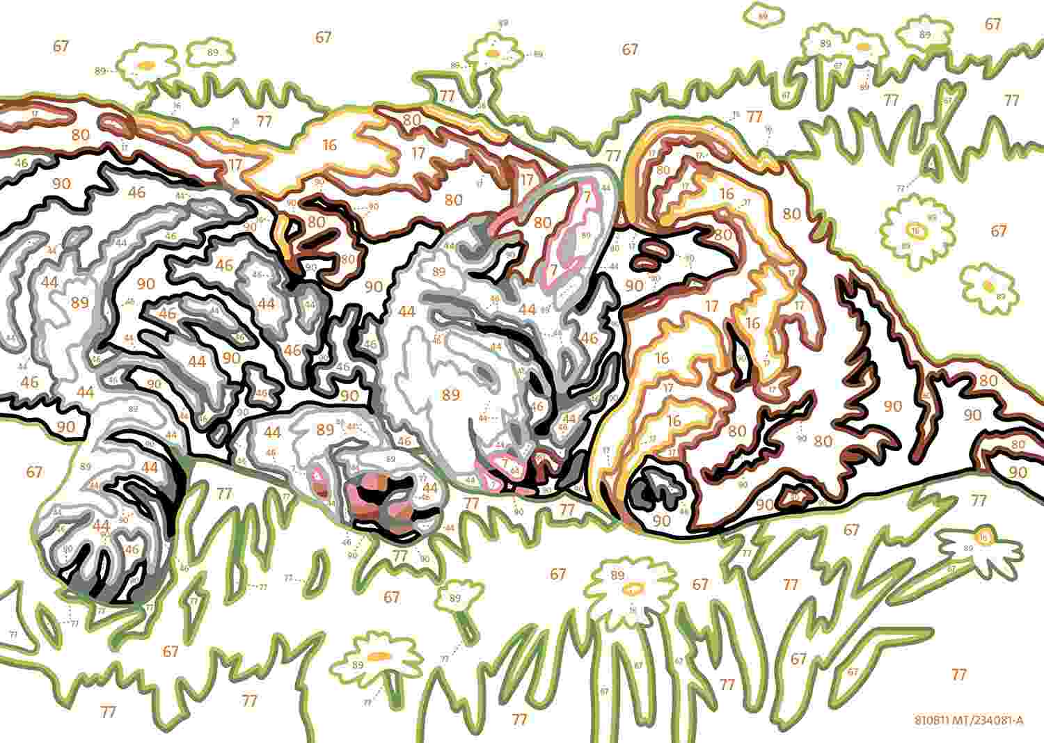 CREART SERIE E CLASSIC - CANE E GATTO DOLCE SONNO