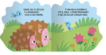IL RICCIO ZAC