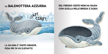 GLI ANIMALI DA PROTEGGERE - Babykid