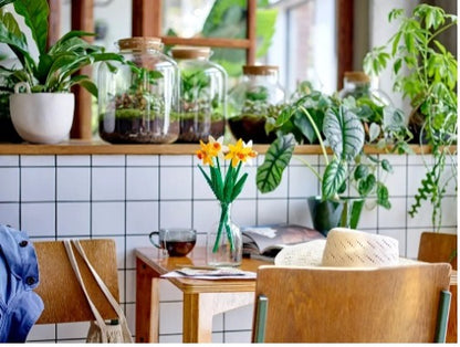 LEGO BOTANICALS - NARCISI - 40747 - Babykid