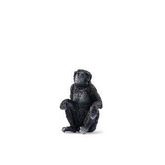 BONOBO FEMMINA - Babykid