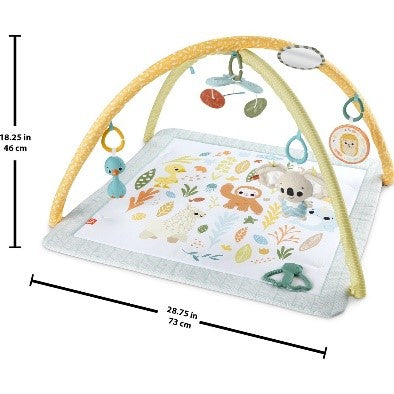 FISHER PRICE PALESTRINA SENSORIALE - Babykid