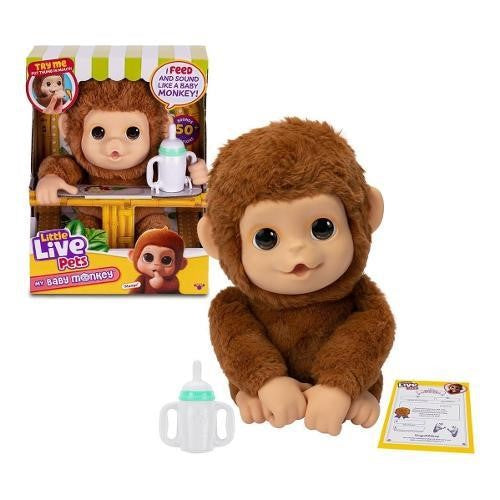 MY BABY MONKEY