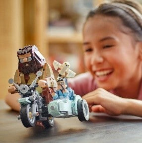 LEGO HARRY POTTER TM - GIRO SUL SIDECAR DI HAGRID™ E HARRY - 76443 - Babykid
