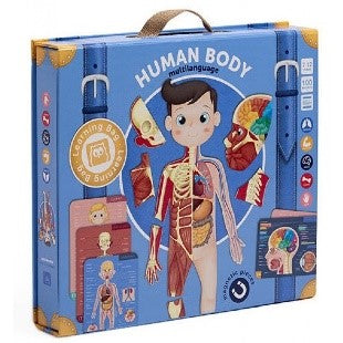 HUMAN BODY