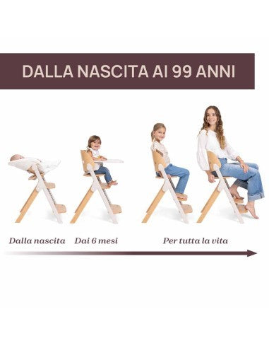 SEGGIOLONE MERAVIGLIA FOSSIL