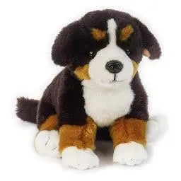 BUDDY CANE BERNESE