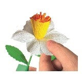 MINI LAB FIORI - NARCISO