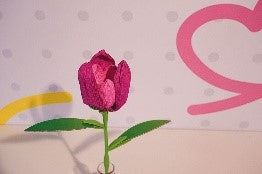 MINI LAB FIORI - TULIPANO