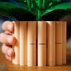 LEGO BOTANICALS - SPATIFILLO - 11504
