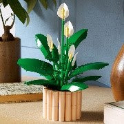 LEGO BOTANICALS - SPATIFILLO - 11504