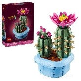 LEGO BOTANICALS - CACTUS IN FIORE - 11509