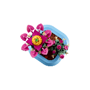 LEGO BOTANICALS - CACTUS IN FIORE - 11509