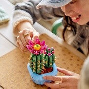 LEGO BOTANICALS - CACTUS IN FIORE - 11509