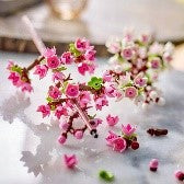 LEGO BOTANICALS - FIORI DI CILIEGIO - 40725