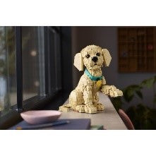 LEGO ICONS - CUCCIOLO DI GOLDEN RETRIEVER - 11384