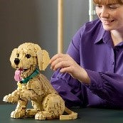 LEGO ICONS - CUCCIOLO DI GOLDEN RETRIEVER - 11384