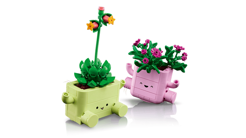 LEGO BOTANICALS - PIANTE DONDOLANTI - 11506