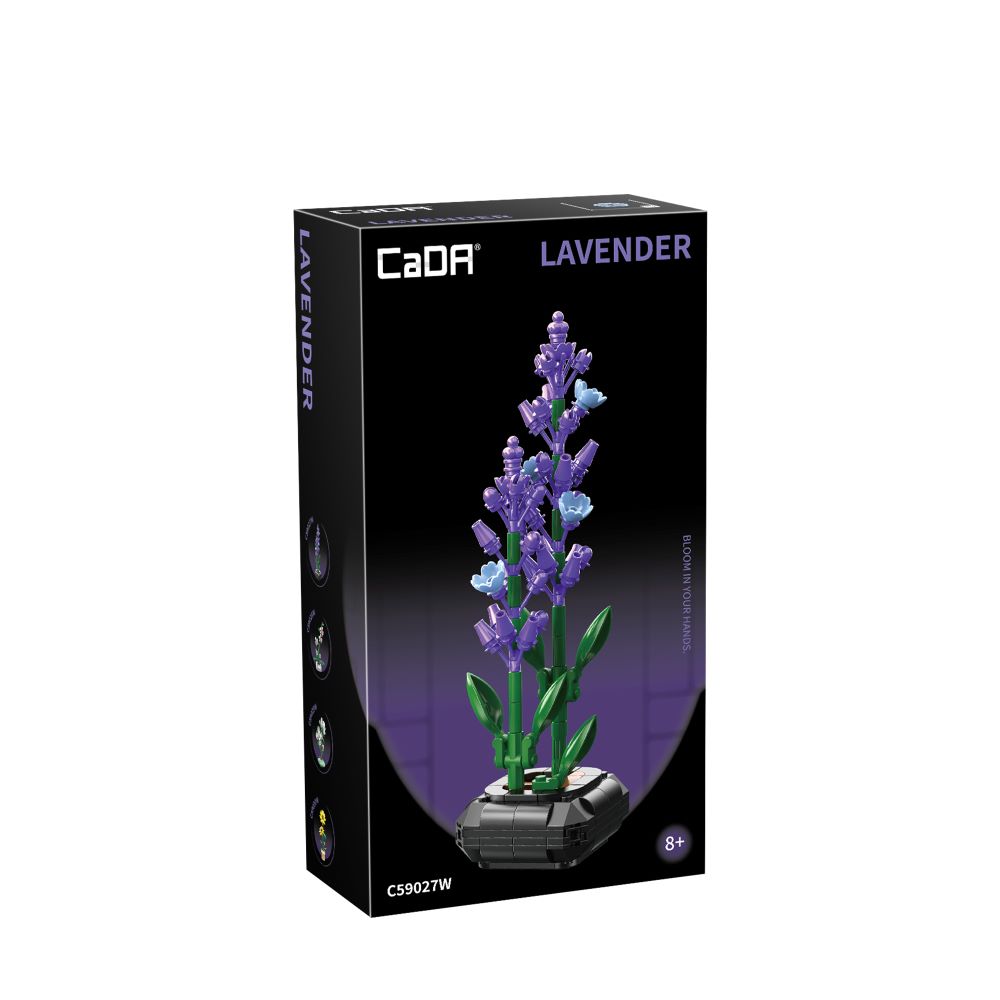 LAVENDER