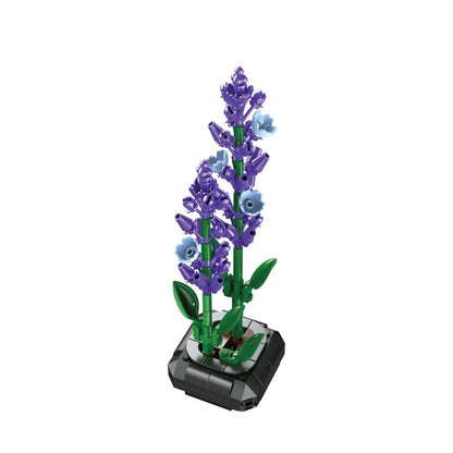LAVENDER