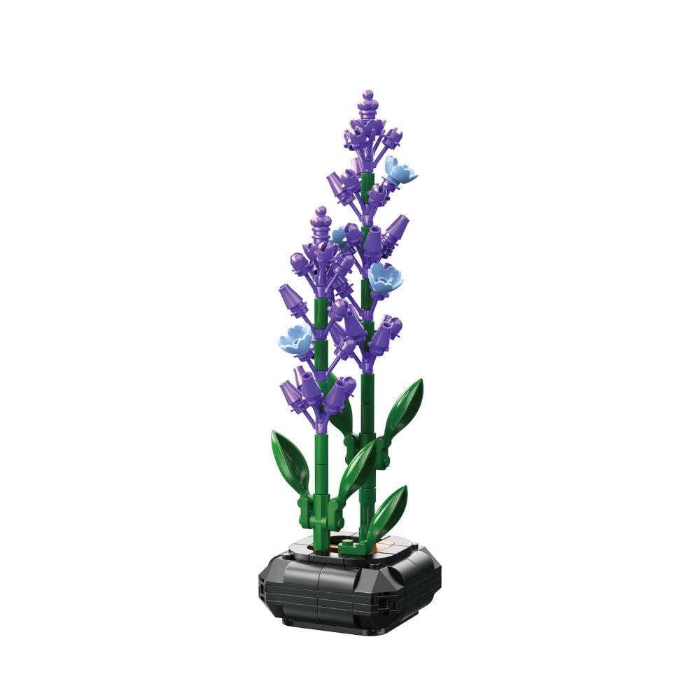 LAVENDER