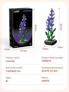 LAVENDER