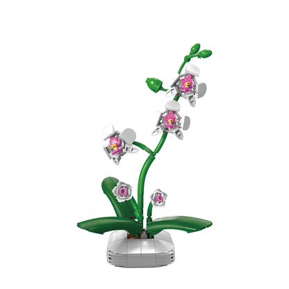 ORCHIDEA