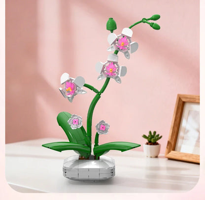 ORCHIDEA