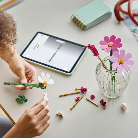 LEGO BOTANICALS - FIORI DI COSMOS - 11514