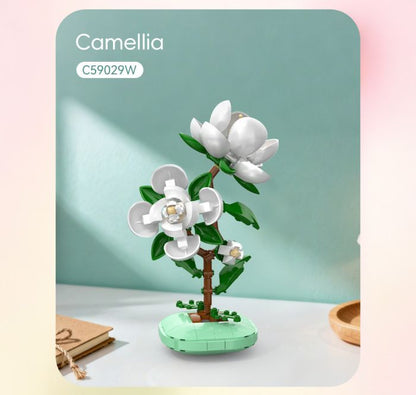 CAMELIA