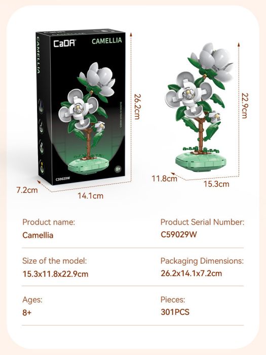 CAMELIA