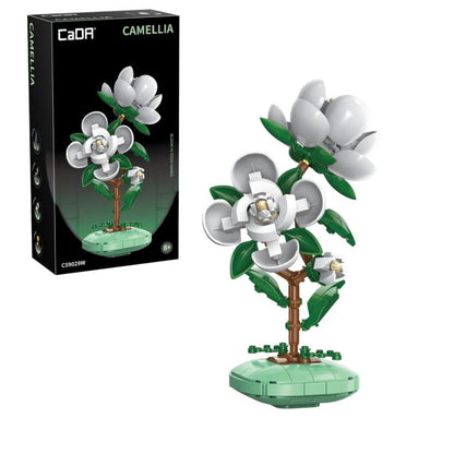 CAMELIA