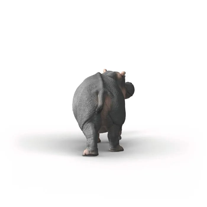 IPPOPOTAMO