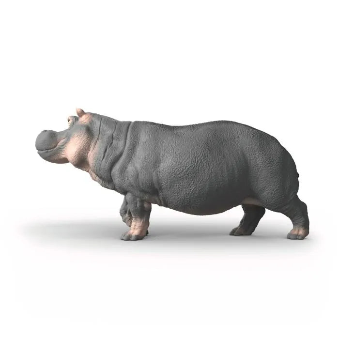 IPPOPOTAMO