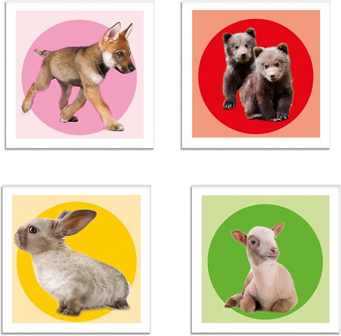 MEMO GAMES NOLI BABY ANIMALS 2024